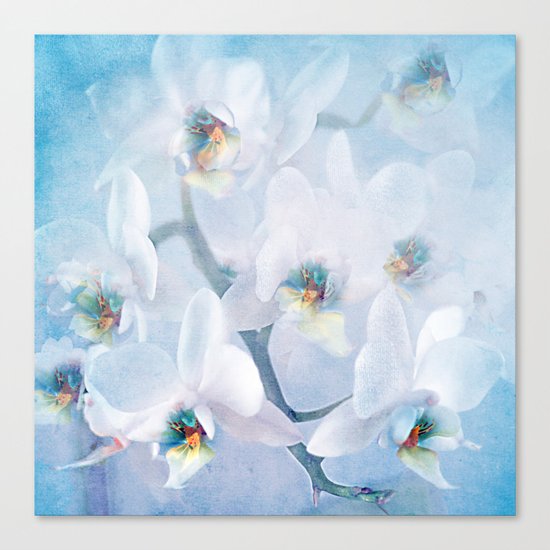 The mystery of orchid(snowy) Canvas Print