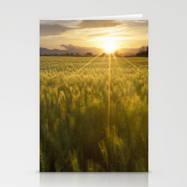 Sunset over a wheat field Stationery Cards