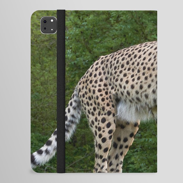 South Africa Photography - Majestic Cheetah Standing On A Log iPad Folio Case