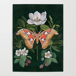 Atlas Moth Magnolia Poster