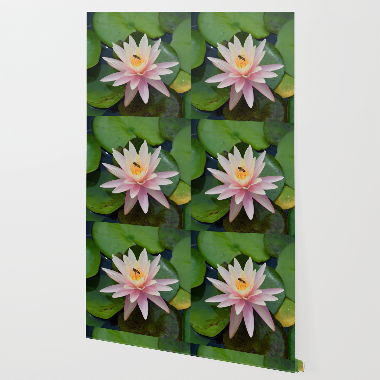 Bee With Pink Waterlily Wallpaper By Richardbryce Society6