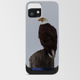 Bald Eagle on Watch in Port Townsend, WA iPhone Card Case