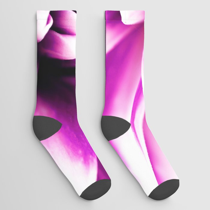 Beautiful Pink Dahlia Macro Photography Socks