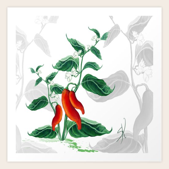 Chili Art Print