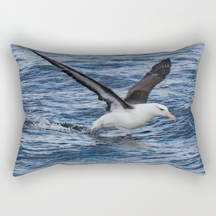 Argentina Photography - Black-browed Albatross Flying Close To The Water Rectangular Pillow