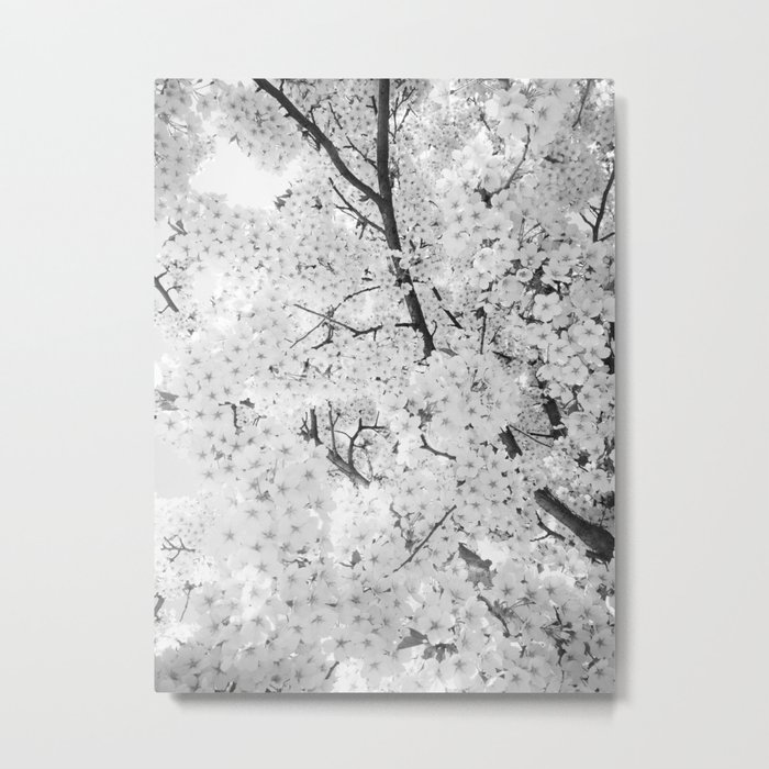 Spring is here to stay Metal Print