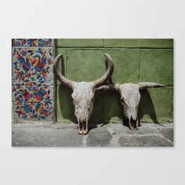 Mexican cow skulls Canvas Print