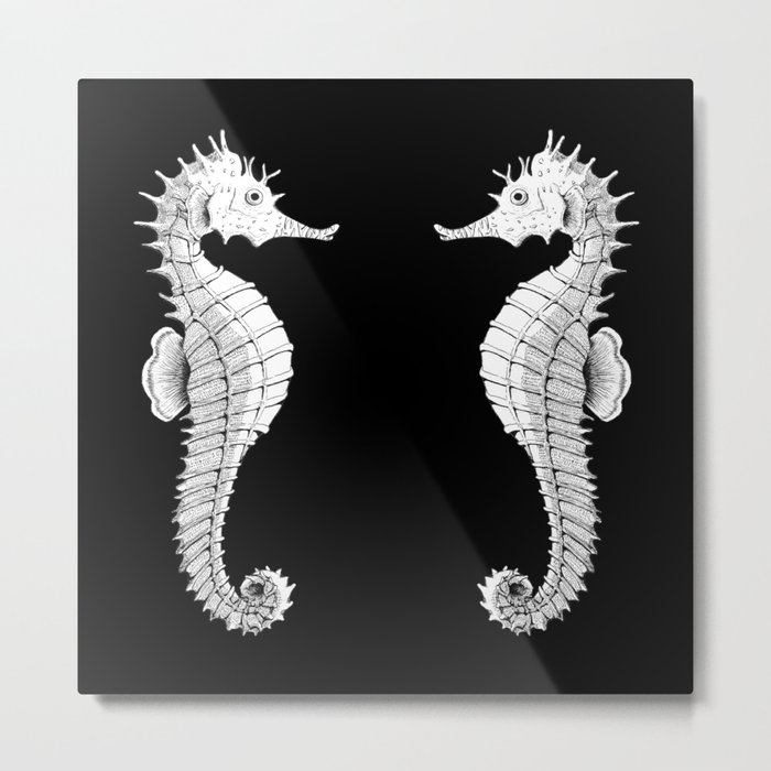 seahorses Metal Print