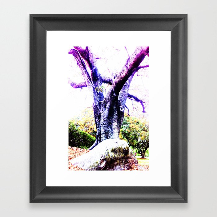 Wizard Tree Framed Art Print