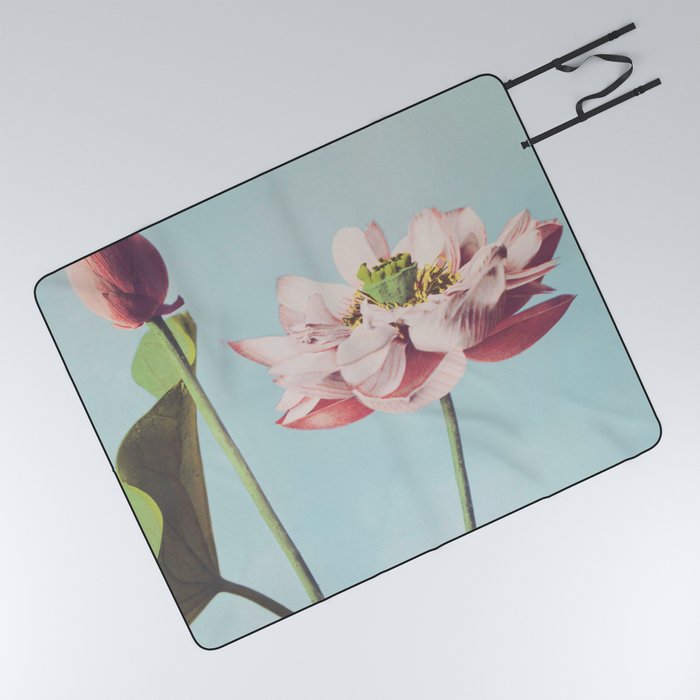Ogawa Kazumasa - Lotus Flowers Picnic Blanket