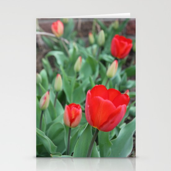 Tulip Darlings Stationery Cards