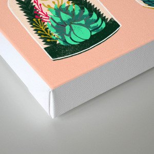 Terrariums Cute little planters for succulents in repeat pattern by