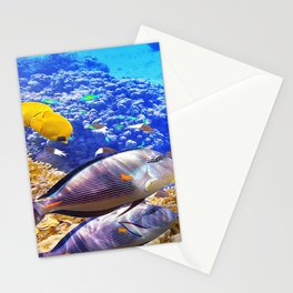 porcupine fish Stationery Card