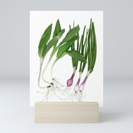Ramps + Spring Onions Mini Art Print