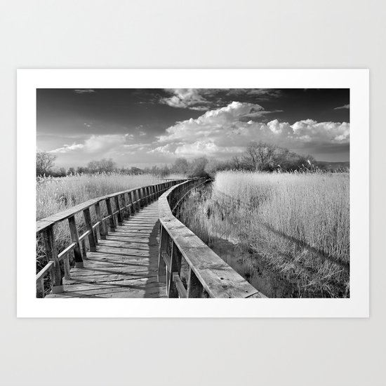 Bridge Art Print