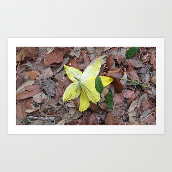 forgotten Art Print