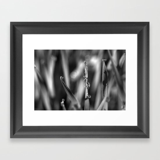 Morning dew Black&white 8548 Framed Art Print