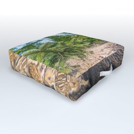Awesome Magnificent Wild Razorback Babies UHD Outdoor Floor Cushion