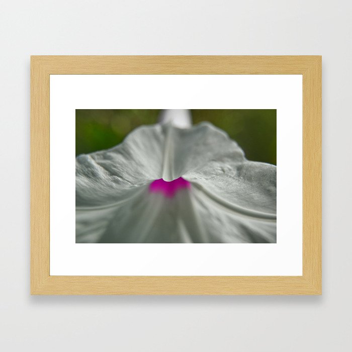 White Flower Macro Framed Art Print