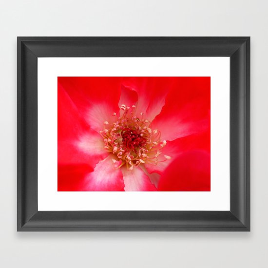 Love Framed Art Print