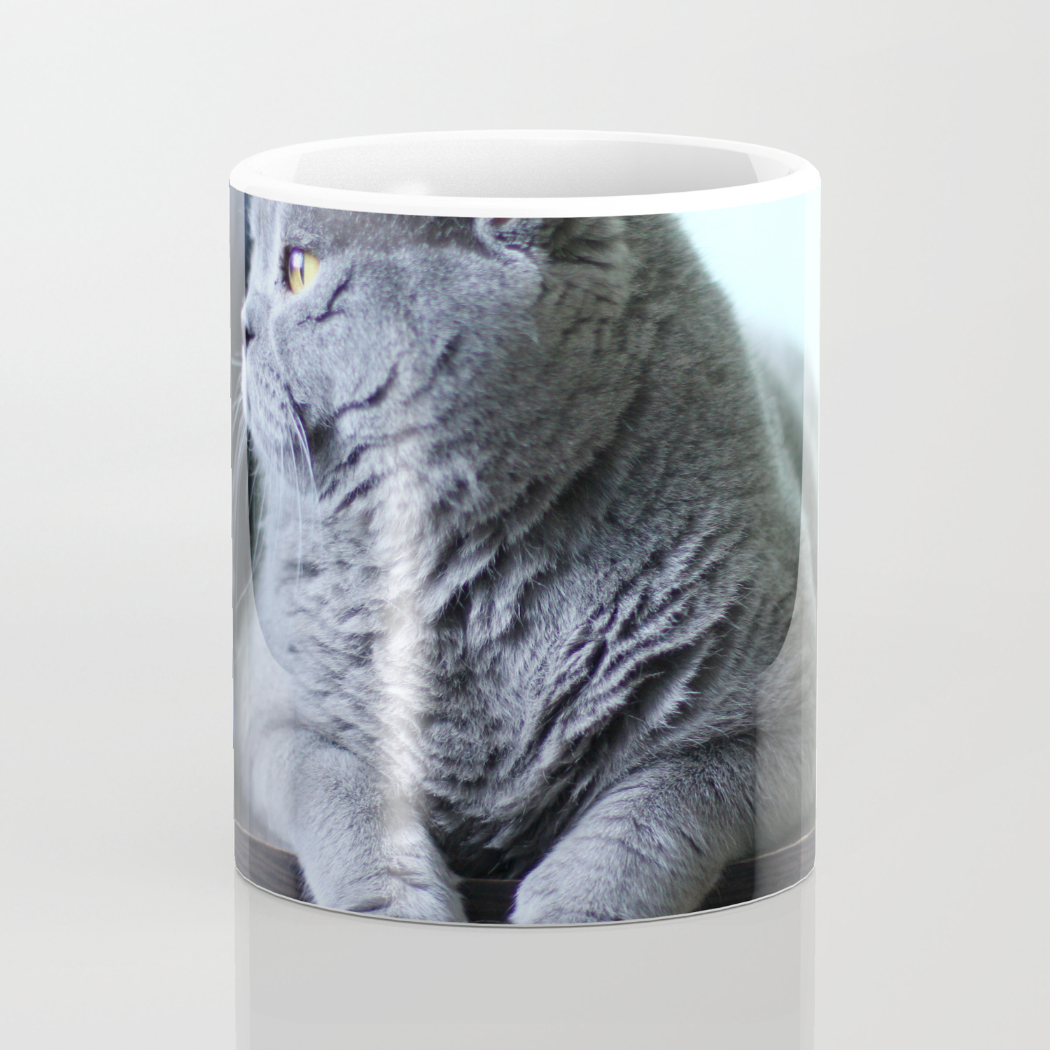 British Shorthair Fat Cat Indoor Portrait Coffee Mug By