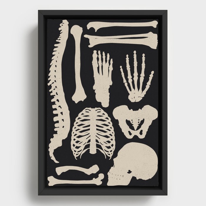 Osteology Framed Canvas