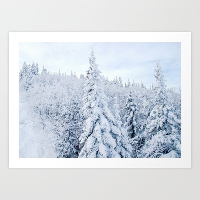Snow covered forest Art Print