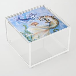 Mercats (cat fish) Acrylic Box