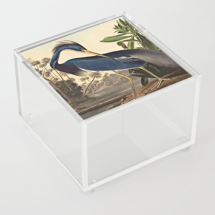 John James Audubon - Louisiana Heron Acrylic Box