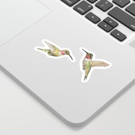 Ruby Throated Hummingbird Watercolor Sticker