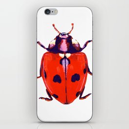 Painted Ladybug iPhone Skin