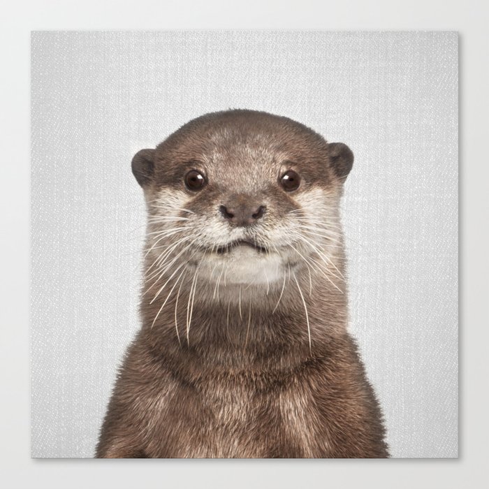 Otter - Colorful Canvas Print