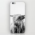 Portrait Of A Highland Cow Art Print By Dorit Fuhg Society6