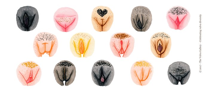 Here against beautiful vulva photos with Beautiful vulva photos