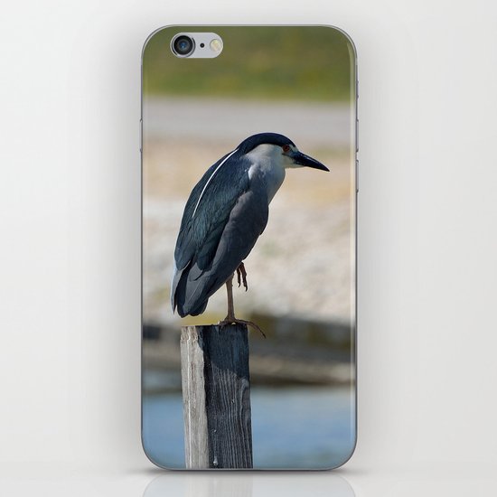 Bird iPhone & iPod Skin