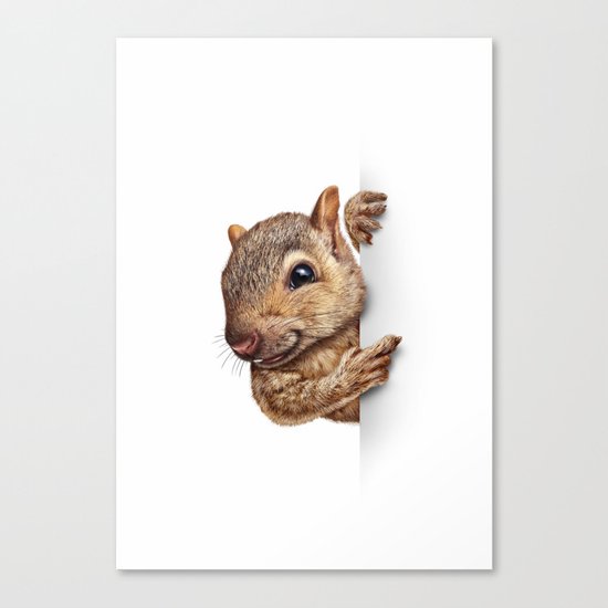 Squirrel Canvas Print