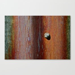 Afloat in the Rustican Sea Canvas Print