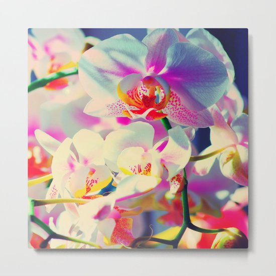 orchids Metal Print
