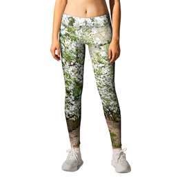 Orchard in Bloom Leggings | Tree, Washington, Orchard, Flowers, Apple, Photo, Blossoms, Blooms, Spring, Springtime 