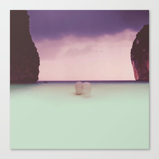 Albatross Sky Canvas Print