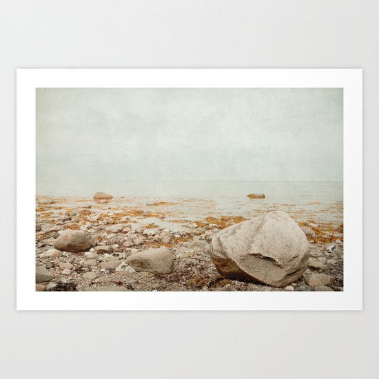 beach rocks Art Print