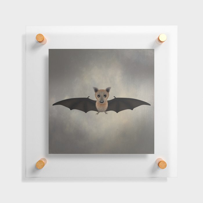 Grey Headed Flying Fox Bat Floating Acrylic Print