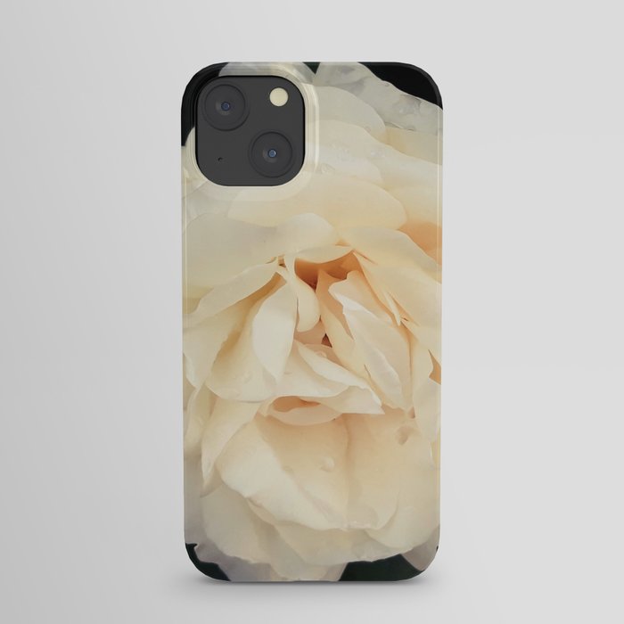 Light pastel yellow rose blossom garden photography iPhone Case