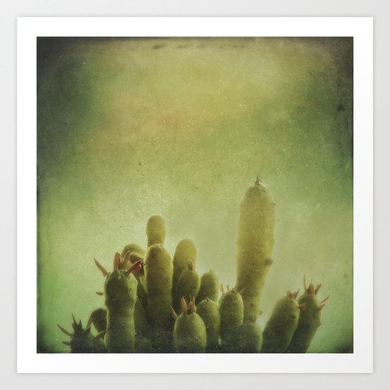 Cactus in my mind Art Print