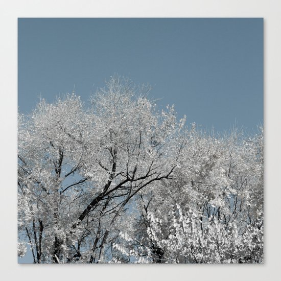 White landscape Canvas Print