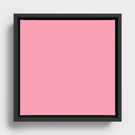 Carnal Pink Framed Canvas