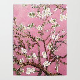 Vincent van Gogh Blossoming Almond Tree (Almond Blossoms) Pink Sky Poster