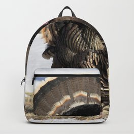 Watercolor Bird, Wild Mirriam's Turkey 46, Endovalley, RMNP, Colorado Backpack