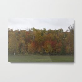 Autumn's Colors Metal Print | Fallfoliage, Digital, Bayshoredrive, Photo, Trees, Eggharbor, Sturgeonbay, Doorcounty, Autumn, Nature 