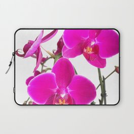 Orchid Laptop Sleeve